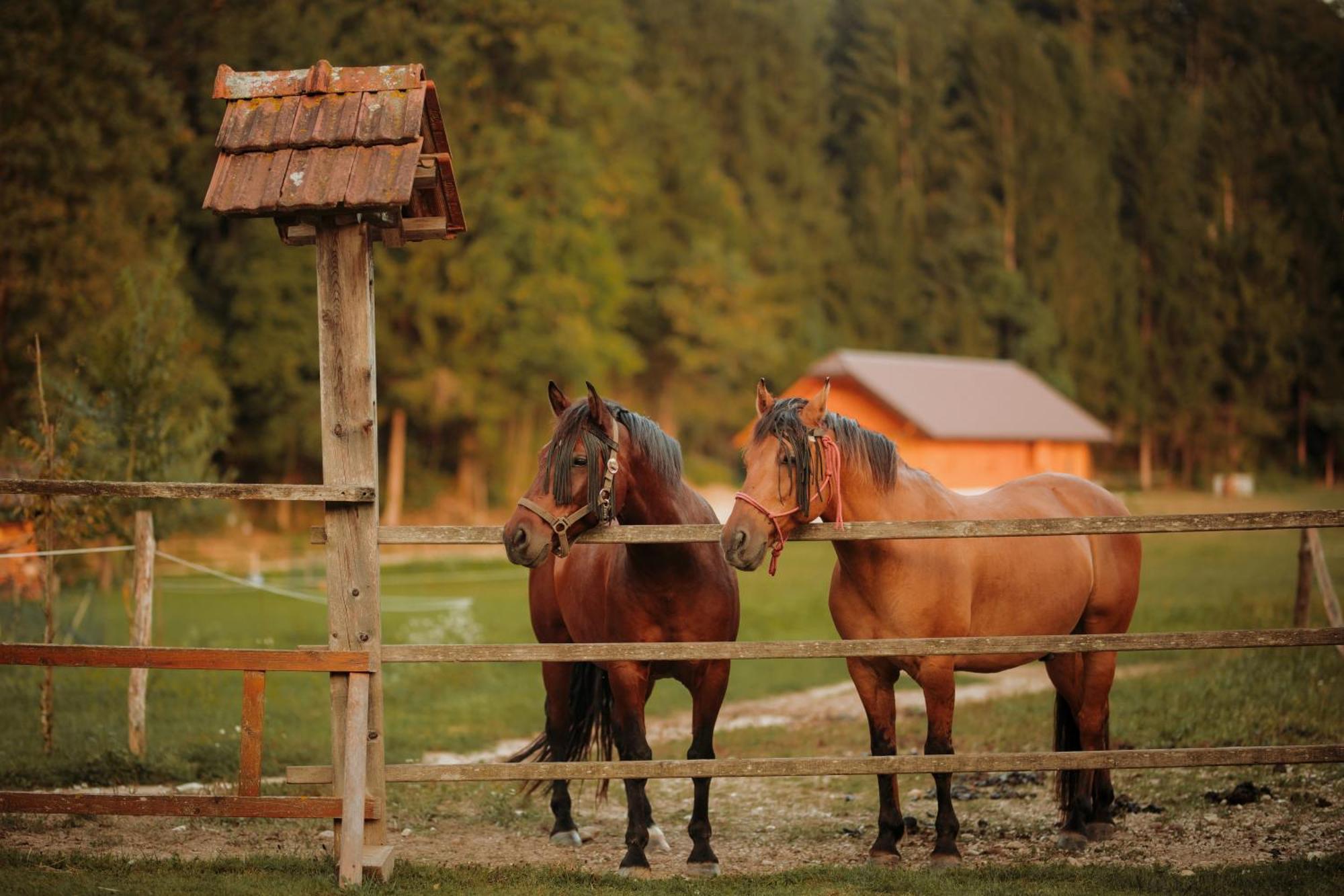 Вилла Ranc Mackadam Ranch Mackadam Тржич Экстерьер фото